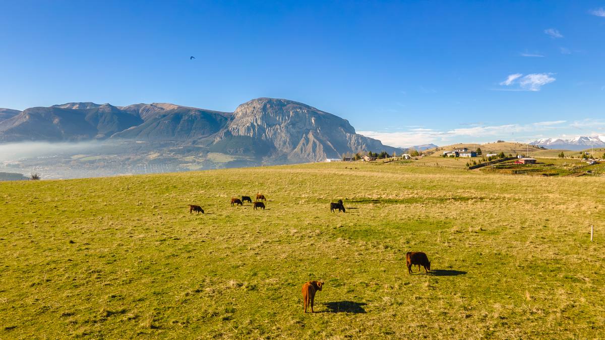 Praderas del sector Panguilemu con caballos pastando y el Cerro Mackay al fondo